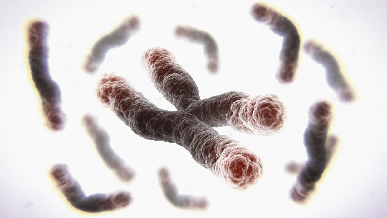 RNA Therapeutics Lengthen Telomeres and Reverses Aging in Human cells.