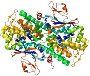 NAMPT Molecule