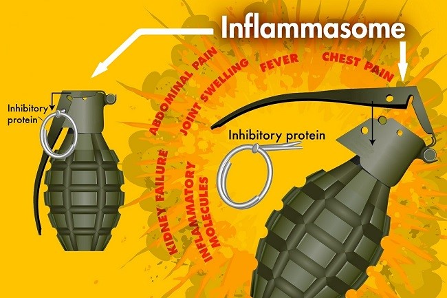 Prevent inflammation by blocking the inflammasome