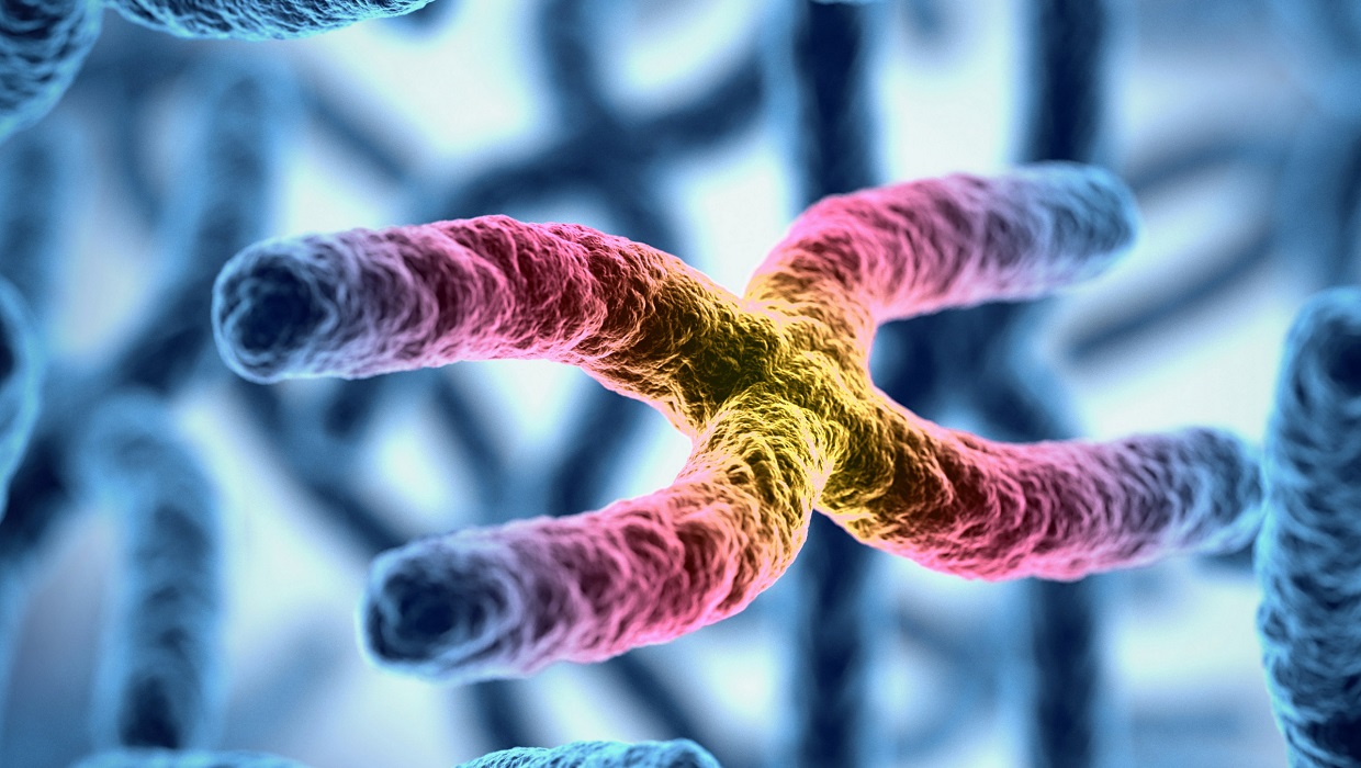 Can we lengthen telomeres to stop aging?