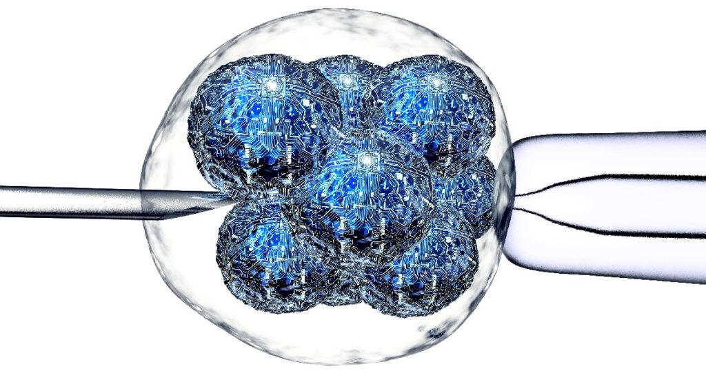 reverse stem cell decline can we reprogram our stem cells