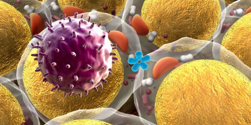stealth virus re-engineered for cancer therapy