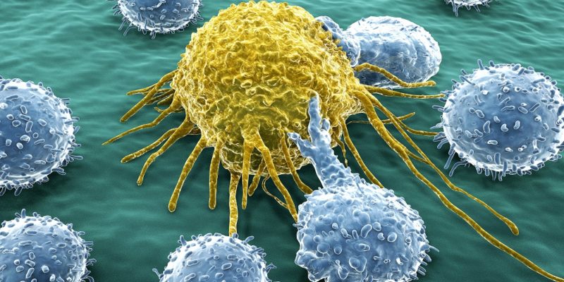 Team paves way for cancer immunotherapy for colon cancer.