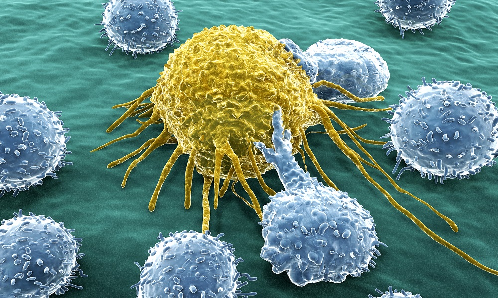 Team paves way for cancer immunotherapy for colon cancer.