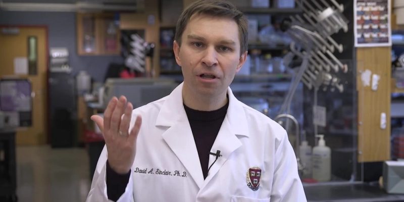 Dr. David Sinclair discusses how NMN boosts NAD reverses aging in blood vessels