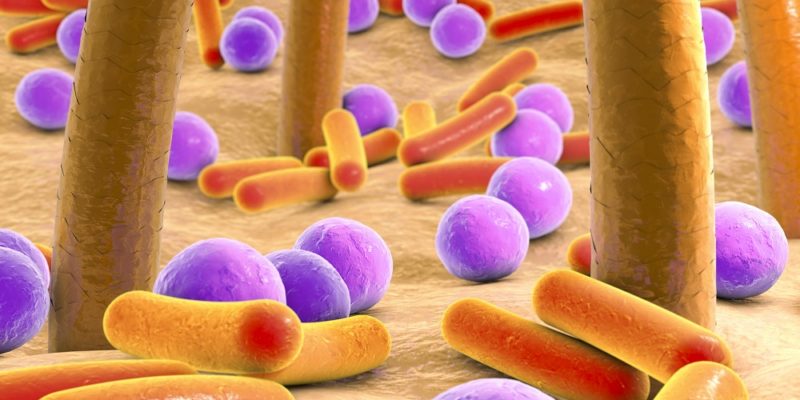 bacteria inhibits skin cancer