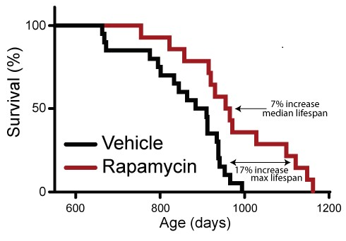 Source Fig 1. from Rapamycin An InhibiTOR of Aging Emerges From the Soil of Easter Island.