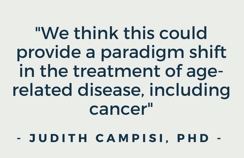 campisi quote - intermittent rapamycin