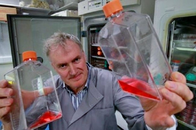 Lead scientist Luke O’Neill, with flasks of inflamed white blood cells.