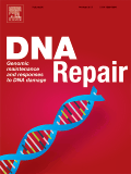DNA repair elsevier