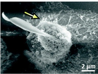 nanodrillers