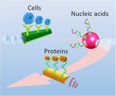 Sensing nanodocs.