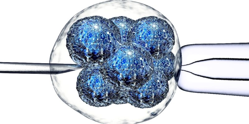 reverse stem cell decline can we reprogram our stem cells