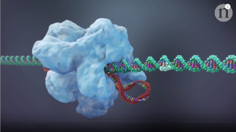 CRISPR 2.0: New Ways to Edit Genes in Our Body (video) » LongevityFacts