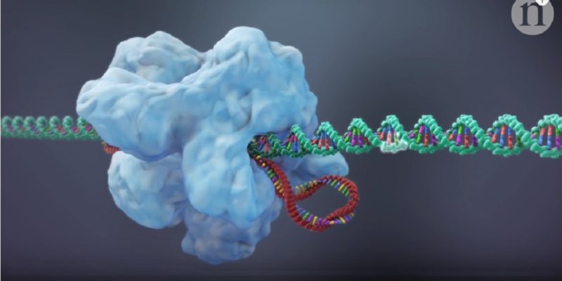 CRISPR-Cas9 screenshot