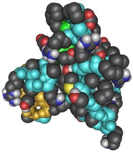 Insulin-Like Growth Factor.