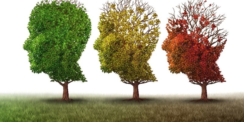Can geroprotectors prevent Alzheimer's?
