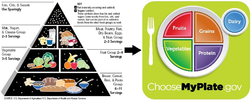 USDA food pyramid and MyPlate