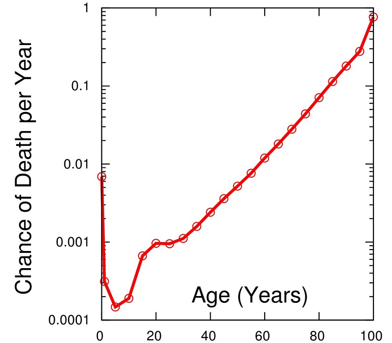 Estimated probability of a US person dying at each age (2003.)