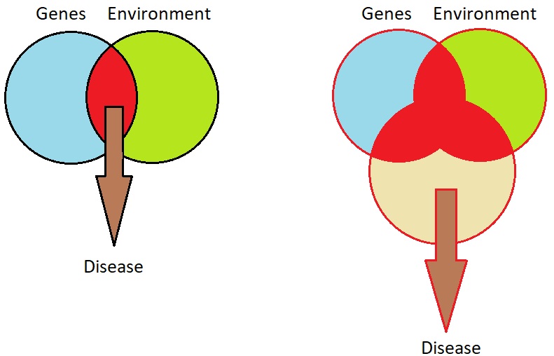 Figure 7.2. The major risk factors for disease. Adapted from Figure 7.2 - Geroscience by Felipe Sierra. 