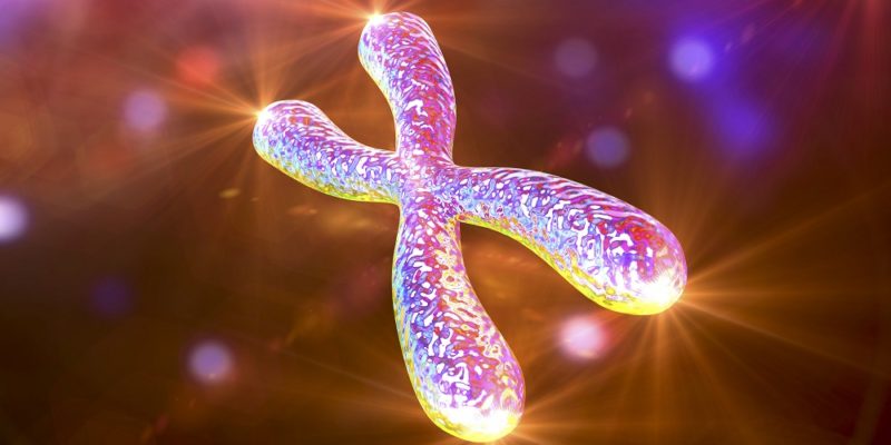 telomere length in chronic diseases of aging