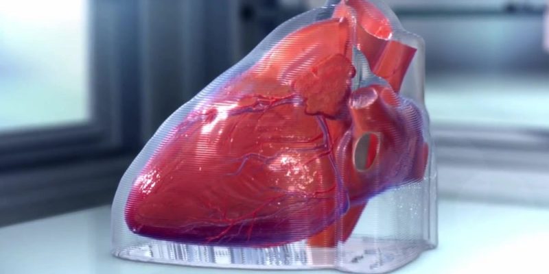 bioprinted Heart grown from stem cells