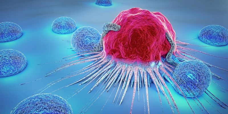 immune system role in cancer