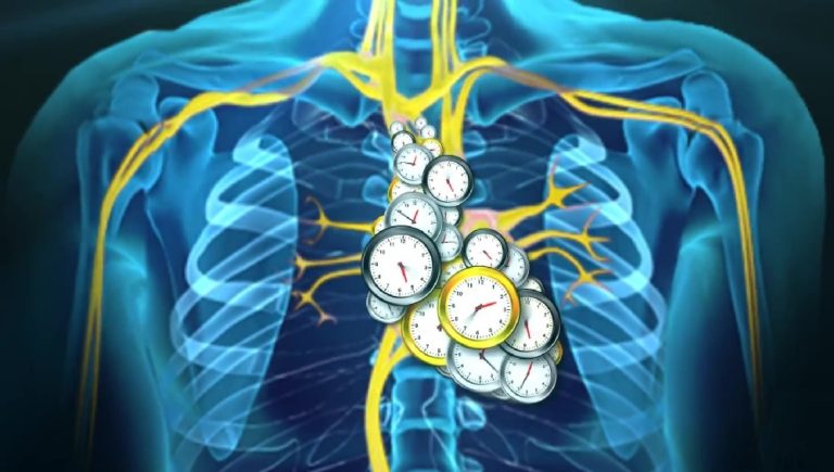 New AI-based Tool to Track and Rewind Our Body's Aging Clock ...