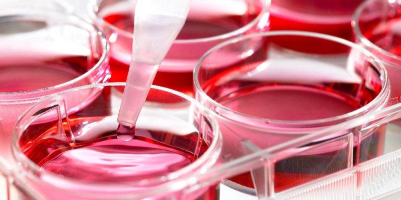 liquid biopsy for cancer