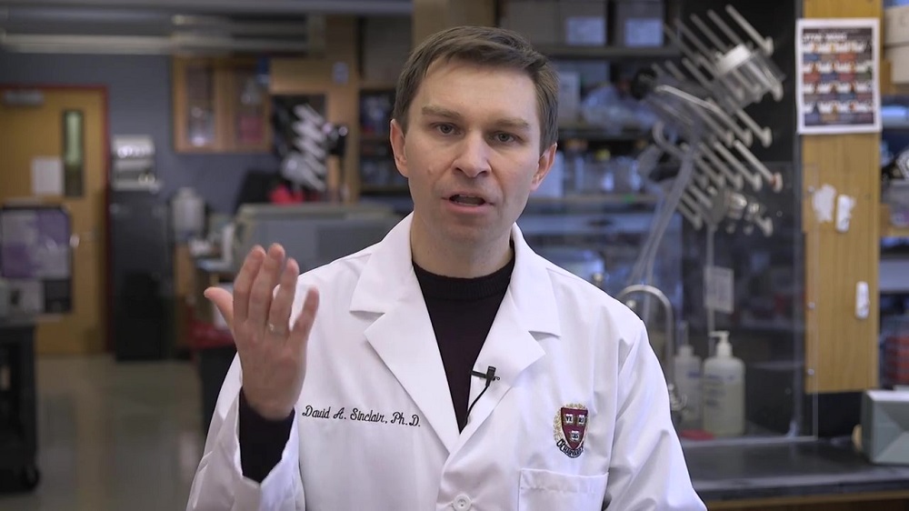 Dr. David Sinclair discusses how NMN boosts NAD reverses aging in blood vessels